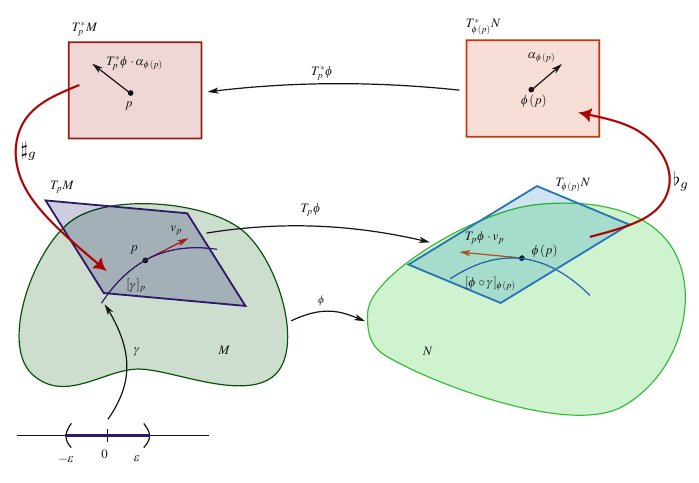 Visualizando os espaços tangentes, cotangente, pullback, pushforward e isomorfismos musicais.