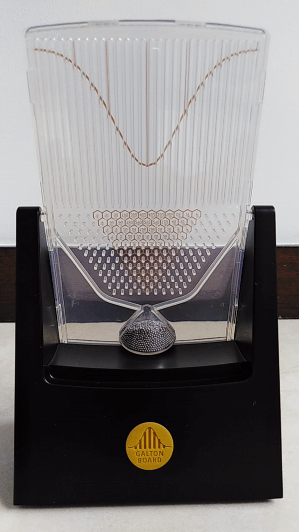 ../../_images/galton_board.gif